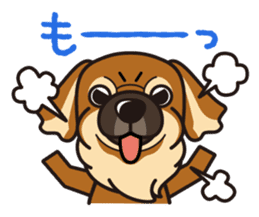 iinu - Tibetan Spaniel sticker #10292197
