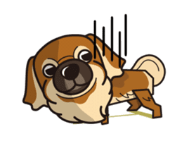 iinu - Tibetan Spaniel sticker #10292198