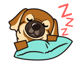 iinu - Tibetan Spaniel sticker #10292200