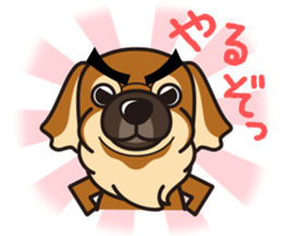 iinu - Tibetan Spaniel sticker #10292207