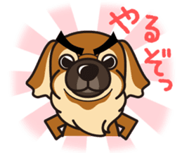 iinu - Tibetan Spaniel sticker #10292207