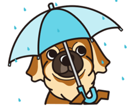 iinu - Tibetan Spaniel sticker #10292214