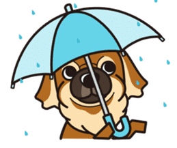 iinu - Tibetan Spaniel sticker #10292214