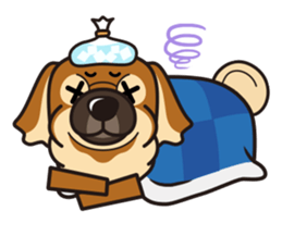 iinu - Tibetan Spaniel sticker #10292216