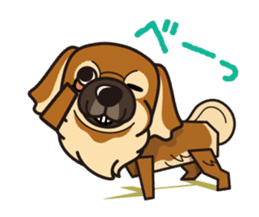 iinu - Tibetan Spaniel sticker #10292222