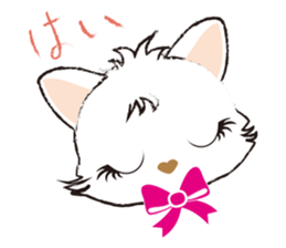 White Cat desu 2 _Hi sticker #10294433