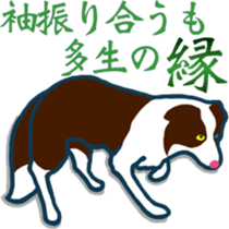 The Beautiful Japanese With James sticker #10295934