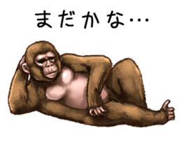 Ape the Ape sticker #10295948