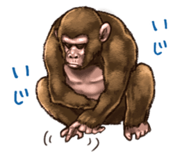 Ape the Ape sticker #10295949