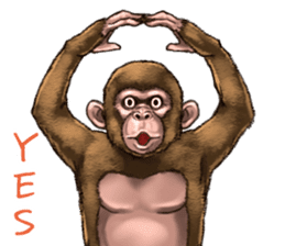 Ape the Ape sticker #10295950