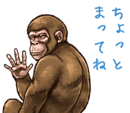 Ape the Ape sticker #10295957