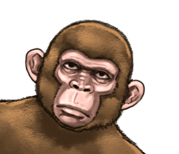 Ape the Ape sticker #10295959