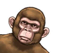 Ape the Ape sticker #10295959