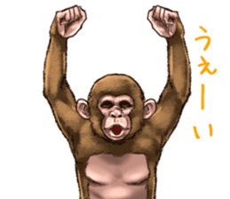 Ape the Ape sticker #10295961