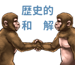 Ape the Ape sticker #10295967