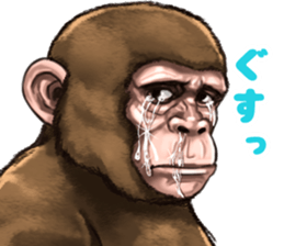 Ape the Ape sticker #10295970