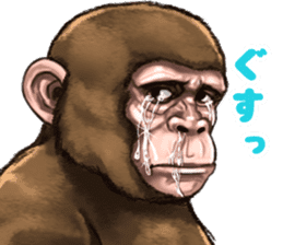 Ape the Ape sticker #10295970