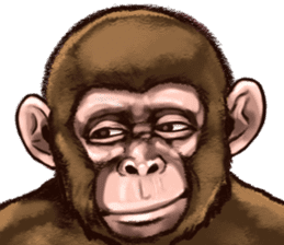 Ape the Ape sticker #10295972