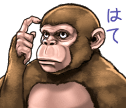 Ape the Ape sticker #10295974