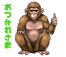 Ape the Ape sticker #10295976