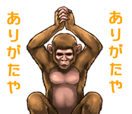 Ape the Ape sticker #10295977