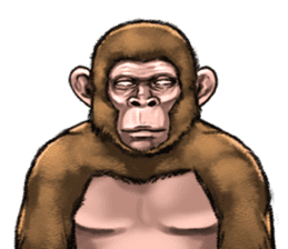 Ape the Ape sticker #10295982