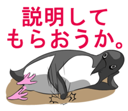 Sarcastic penguin sticker #10296269