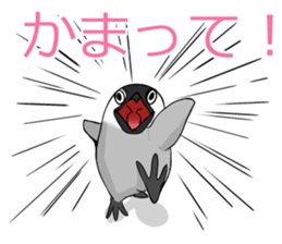 Sarcastic penguin sticker #10296278