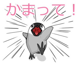 Sarcastic penguin sticker #10296278