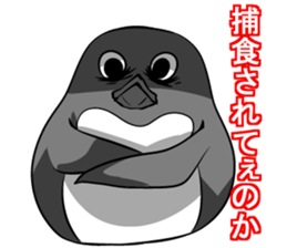 Sarcastic penguin sticker #10296297