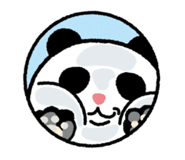 Panda born & grew up sticker #10297745