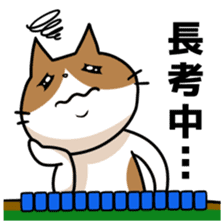 Favorite Mahjong of cat and frog sticker #10298038