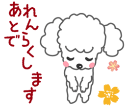Cute Poodle! sticker #10299849
