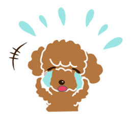 Cute Poodle! sticker #10299855