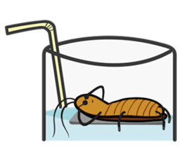 Peter, the cockroach sticker #10300995