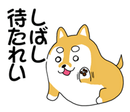 mameshiba mameta sticker #10302867