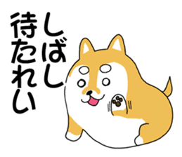 mameshiba mameta sticker #10302867