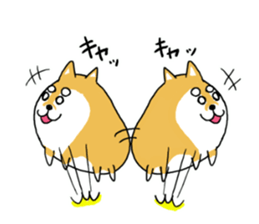 mameshiba mameta sticker #10302877