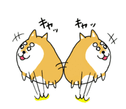 mameshiba mameta sticker #10302877