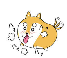 mameshiba mameta sticker #10302894