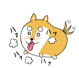 mameshiba mameta sticker #10302894