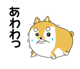 mameshiba mameta sticker #10302899