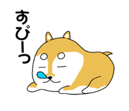 mameshiba mameta sticker #10302901