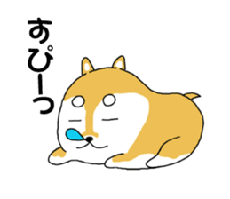mameshiba mameta sticker #10302901