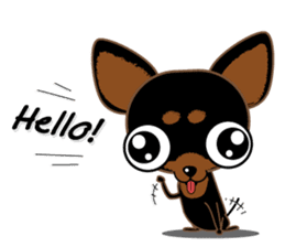 Cute Choc chip (Chiwawa dog) sticker #10304505