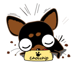 Cute Choc chip (Chiwawa dog) sticker #10304521