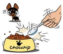 Cute Choc chip (Chiwawa dog) sticker #10304541