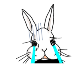 A little gloomy rabbit man sticker #10304550