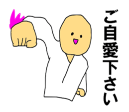 Amazing KARATE sticker #10305075