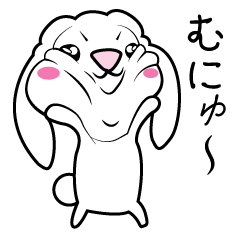 Holland Lop USAMARON